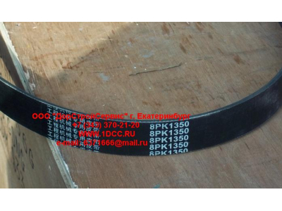 Ремень 8PK1350 помпы CDM 855 Lonking CDM (СДМ) 612600100069 фото 1 Севастополь