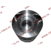 Поршневая группа WD12/WD618 (6 гильз, 6 поршней (..0017), 6 пальцев, комплект колец) SH SHAANXI / Shacman (ШАНКСИ / Шакман) 61800010125 фото 11 Севастополь