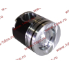 Поршневая группа WD12/WD618 (6 гильз, 6 поршней (..0017), 6 пальцев, комплект колец) SH SHAANXI / Shacman (ШАНКСИ / Шакман) 61800010125 фото 10 Севастополь